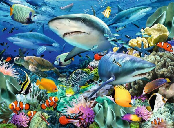 Shark Reef (100 pc Puzzle)