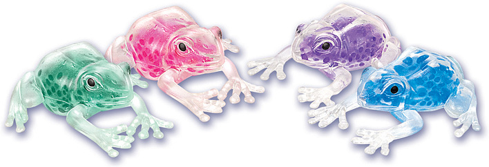 Squish the Frog | Educational & Learning Toys | Impression 5 Science Center  | Shop Online