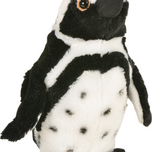 10" Animal Den Black Foot Penguin Plush