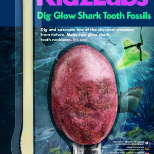 Dig Glow Shark Tooth Fossils (12)