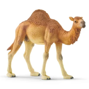 schleich dromedary