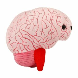 giantmicrobes brain organ