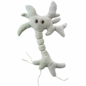 Giantmicrobes Brain Cell (neuron) Plush Toy