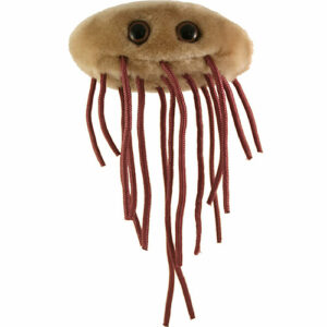 Giantmicrobes E. Coli (escherichia Coli) Plush Toy