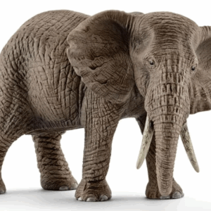 schleich elephant female