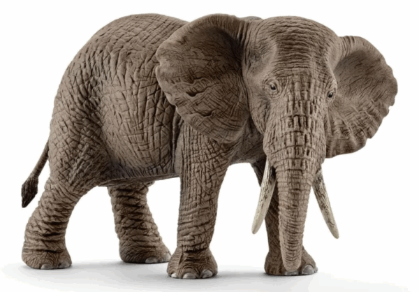 schleich elephant female