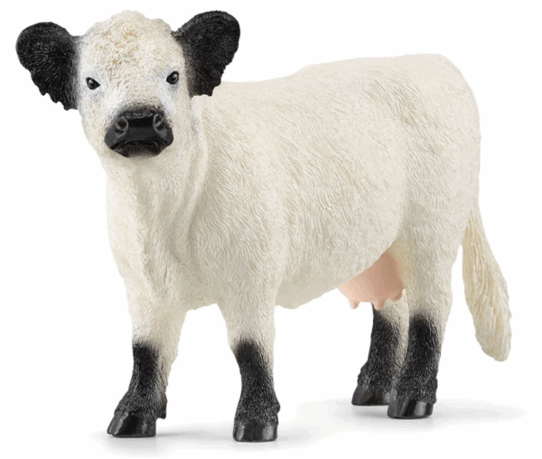 schleich galloway cow female