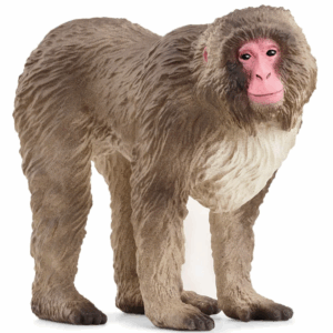 schleich japanese macaque