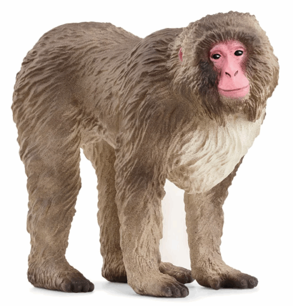 schleich japanese macaque