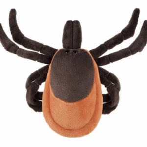 giantmicrobes tick