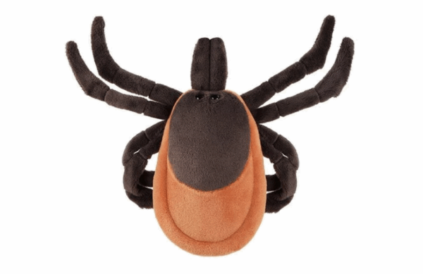 giantmicrobes tick