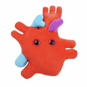 giantmicrobes blood earrings