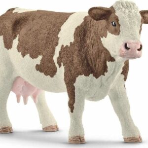 Simmental Cow