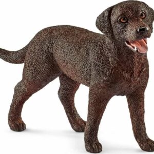 Labrador Retriever Female