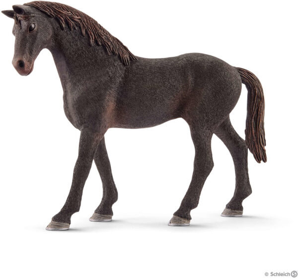 English Thoroughbred Stallion