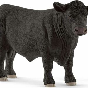 Black Angus Bull
