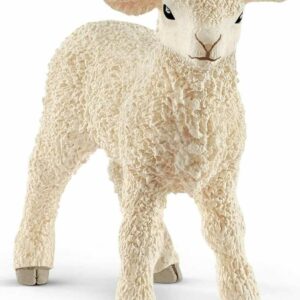 Lamb