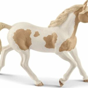 Paint Horse Mare