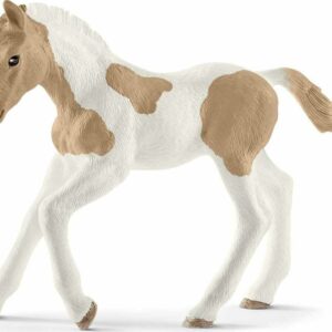 Paint Horse Foal