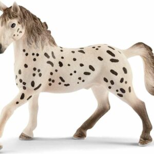 Knapstrupper Stallion