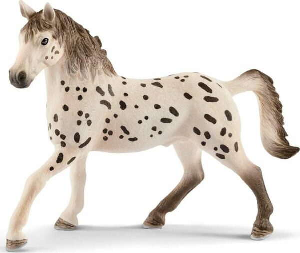Knapstrupper Stallion
