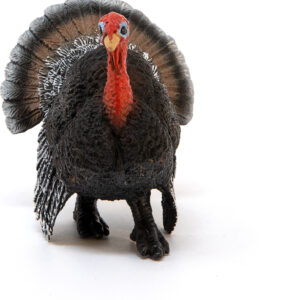 Turkey