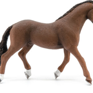 Trakehner Gelding