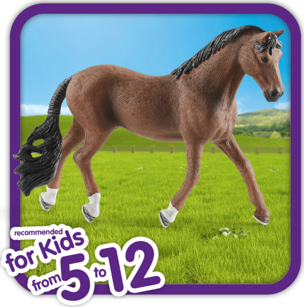 Trakehner Gelding