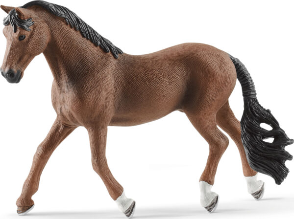 Trakehner Gelding