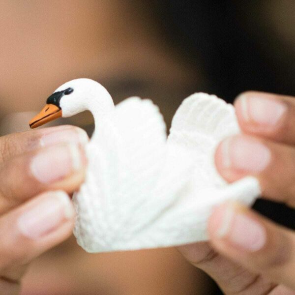 Swan