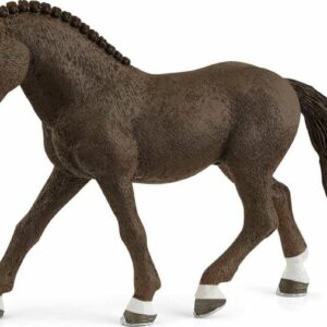 German Riding Pony Gelding