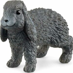 Lop-Eared Rabbit