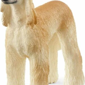 Afghan Hound
