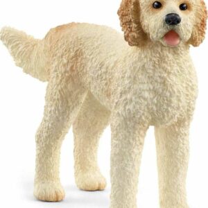 Goldendoodle