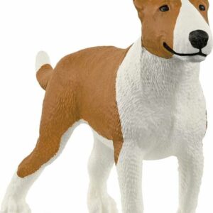 Bull Terrier