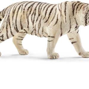 Tiger, White