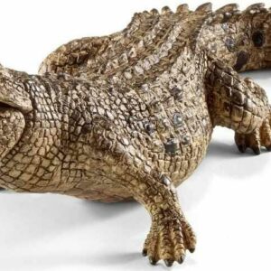 Crocodile