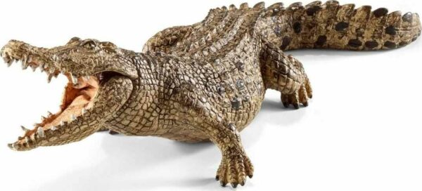 Crocodile