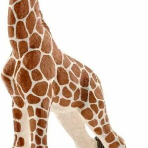 Giraffe Calf