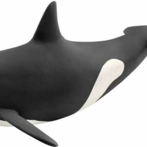 Killer Whale
