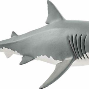 Great White Shark