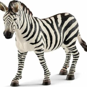 Zebra Female