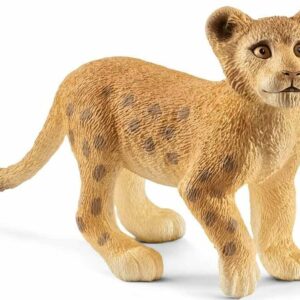 Lion Cub