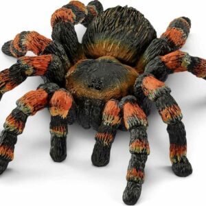 Tarantula