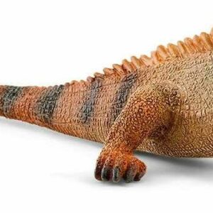 Iguana