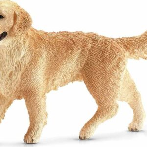 Golden Retriever, Female