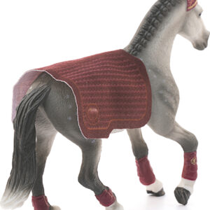 Trakehner Mare Riding Tournament