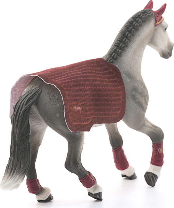 Trakehner Mare Riding Tournament