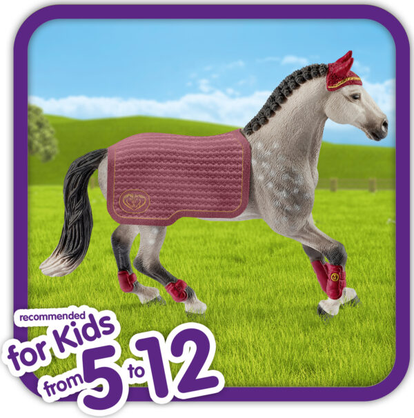 Trakehner Mare Riding Tournament