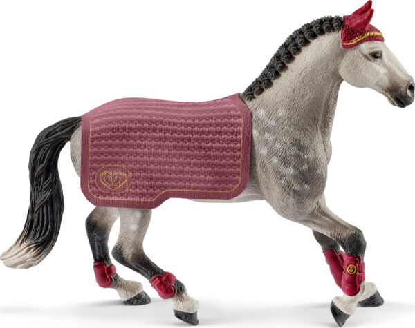 Trakehner Mare Riding Tournament